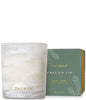 Thymes Frasier Fir Tidings 6.5 oz poured candle in winter white vessel with gold accents and green gift box