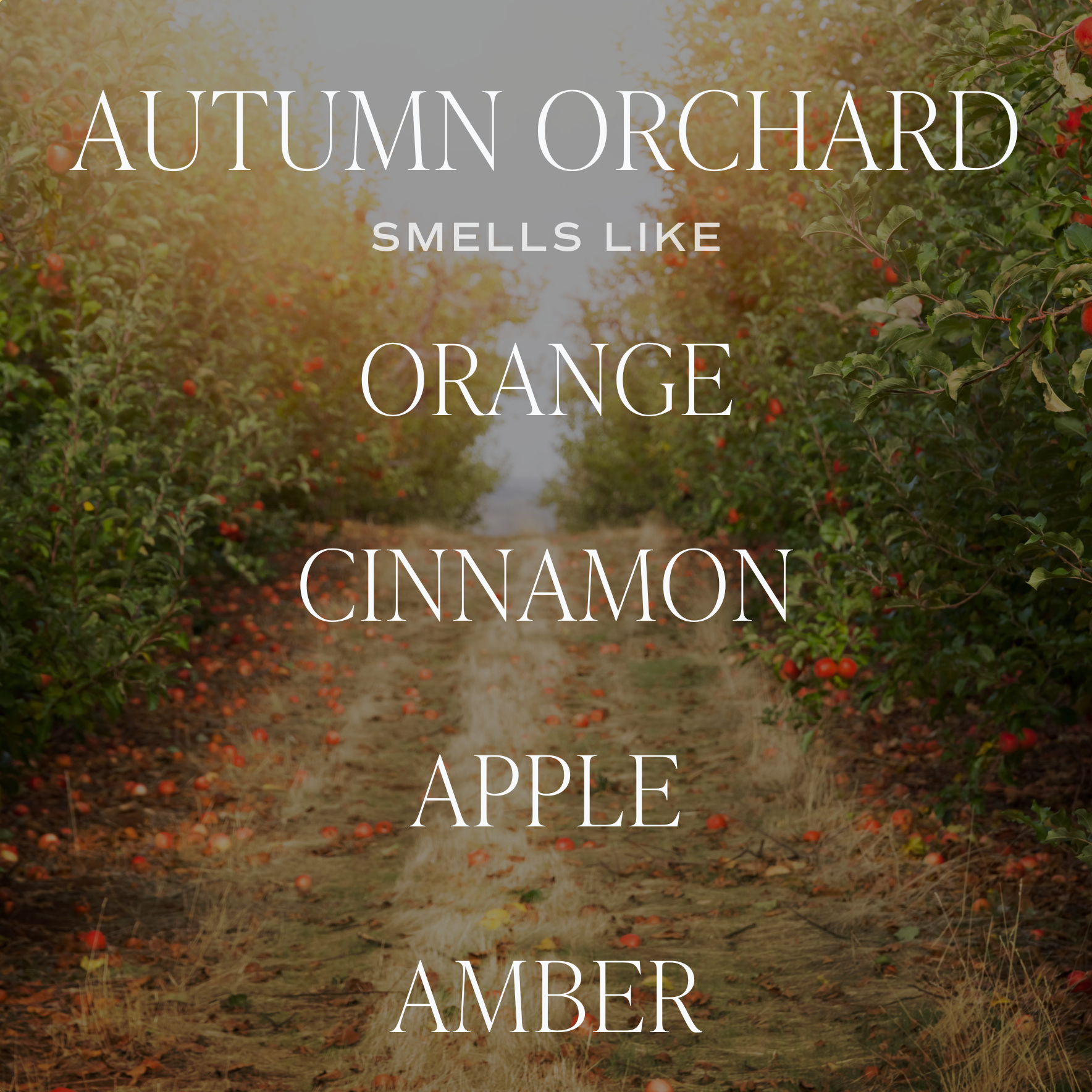 Sweet Water Decor - *NEW* Autumn Orchard 9 oz Soy Candle - Fall Decor