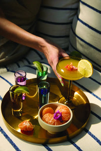 Here's How- The Gracie Set Of 4 Shot Glasses Assorted Colors