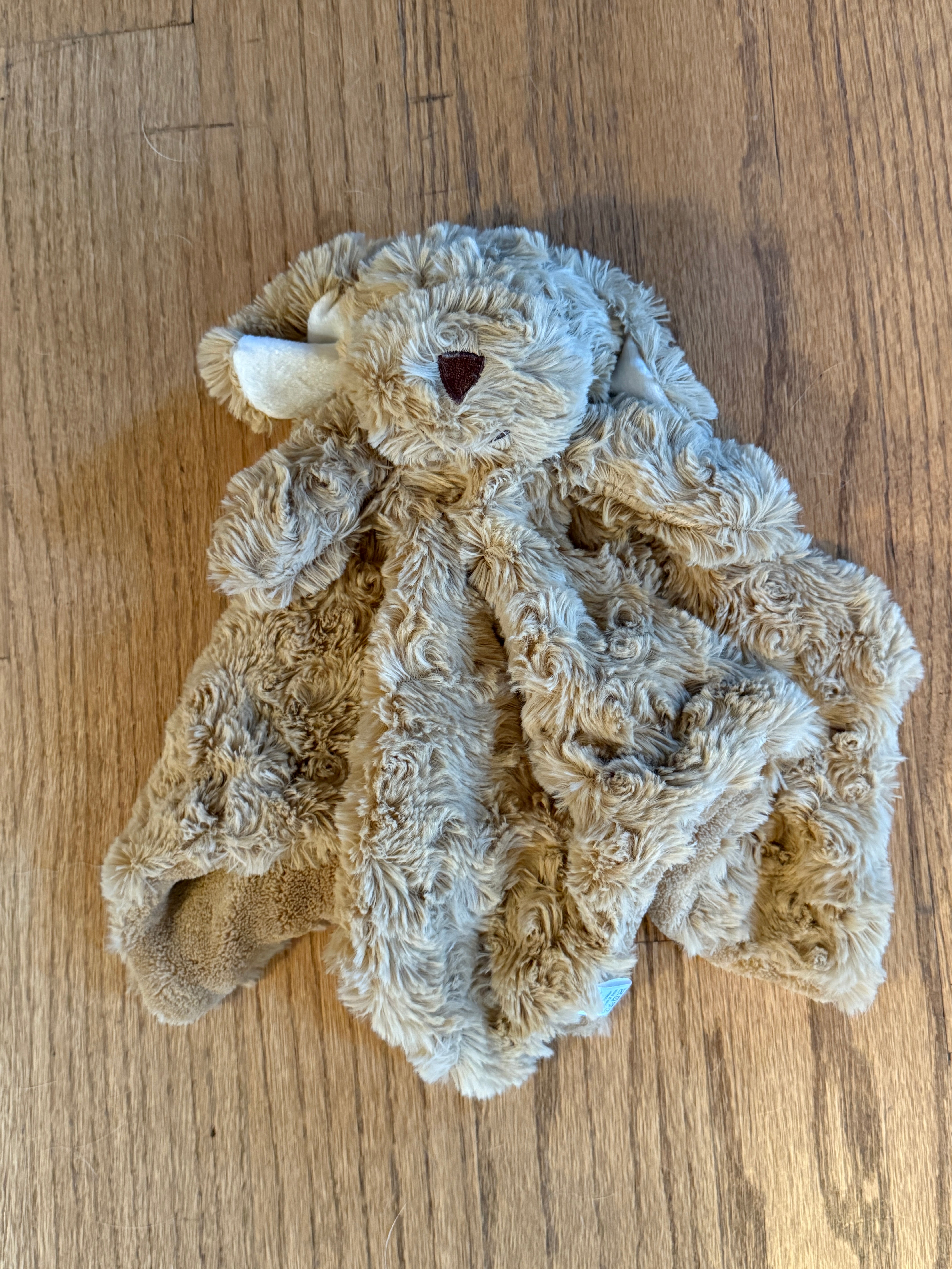 Obles the Plush Hand-Held Dog with Rattle – Danbar Global