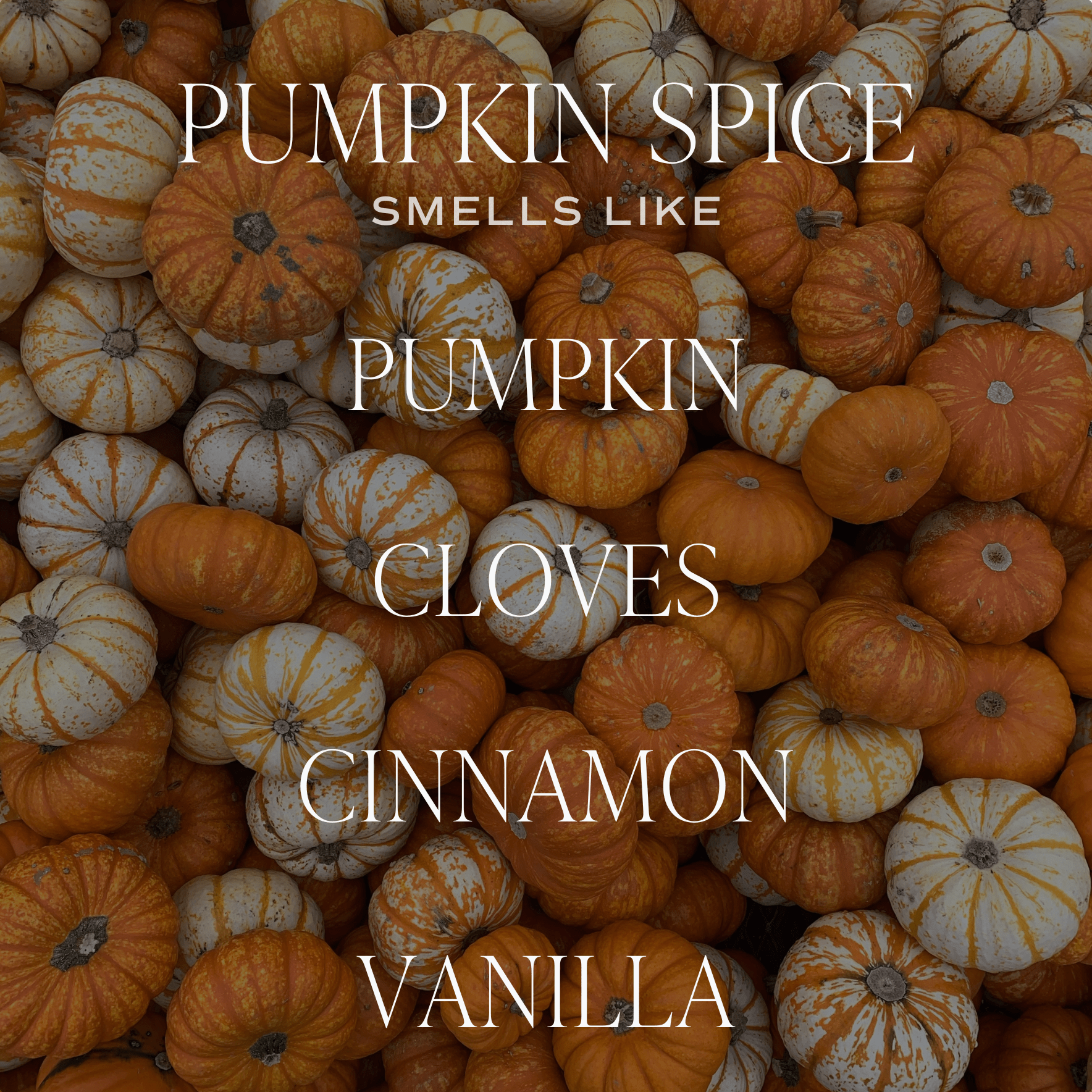 Sweet Water Decor - *NEW* Pumpkin Spice 9 oz Soy Candle - Fall Decor