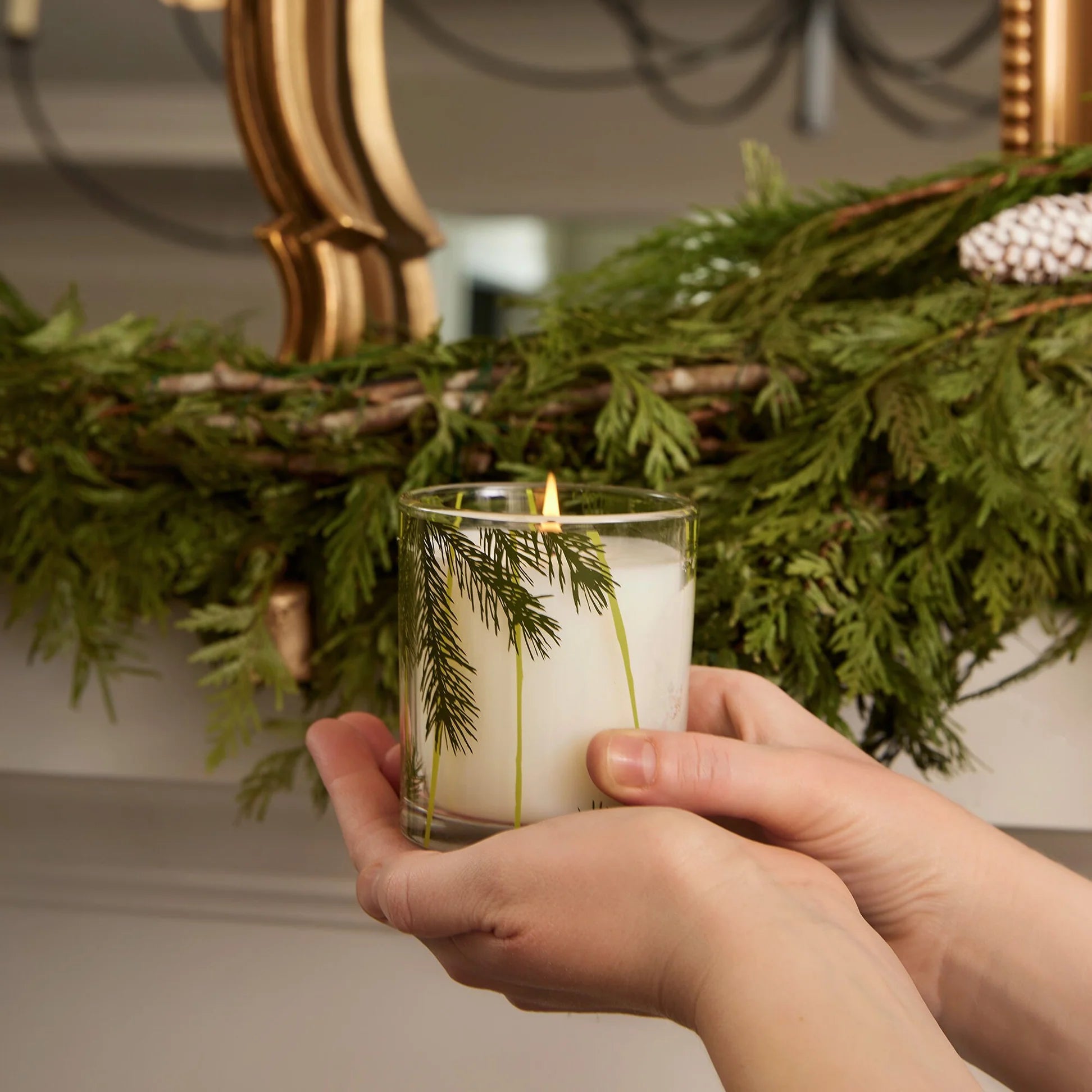 Thymes Frasier Fir Poured Candle – Pine Needle Design